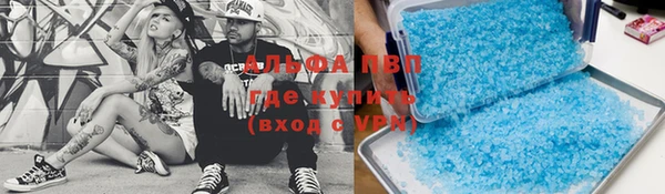 PSILOCYBIN Няндома